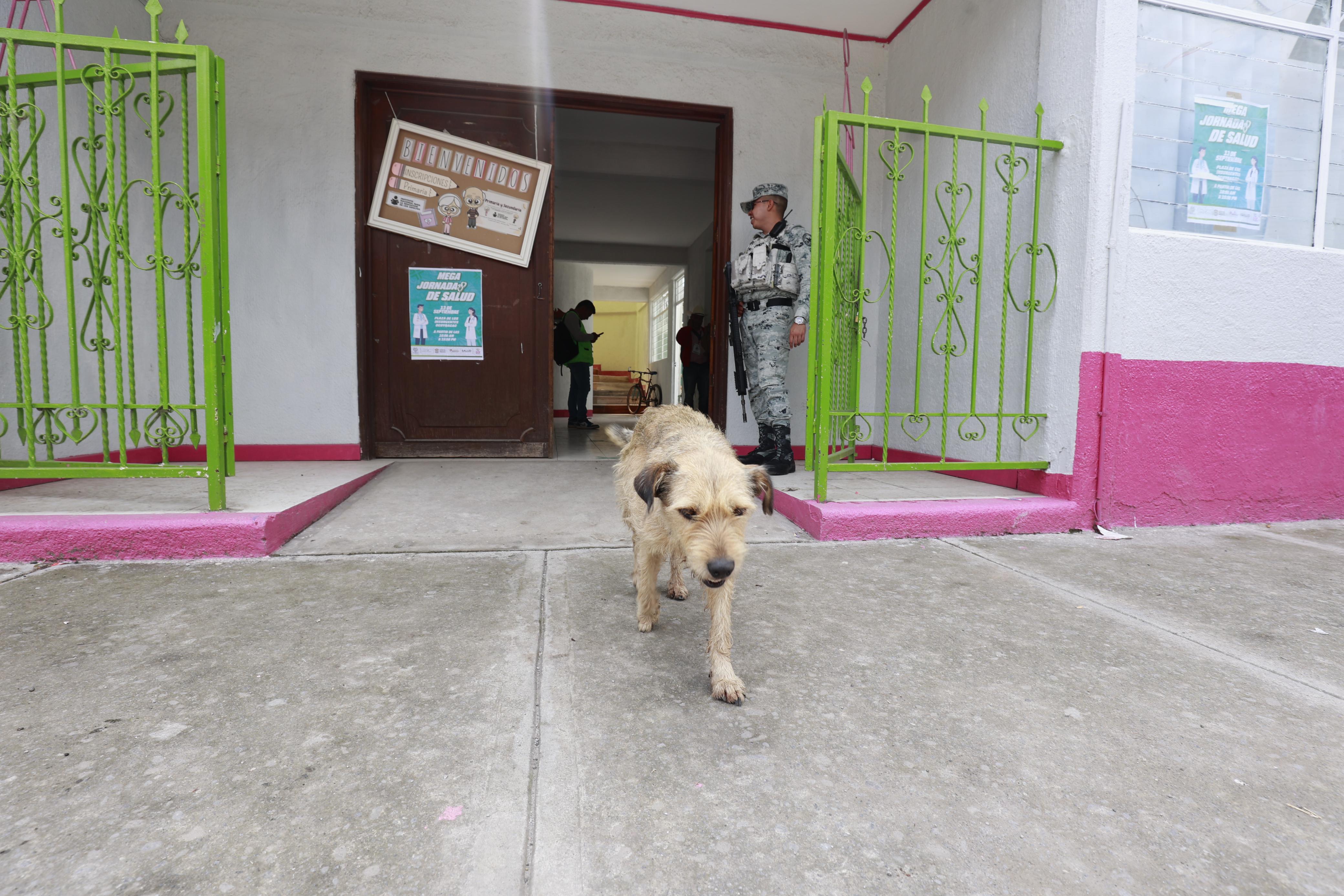 Elementos de la Guardia Nacional adoptan a Chilaquil en Ocoyoacac. Foto Macrina Vázquez